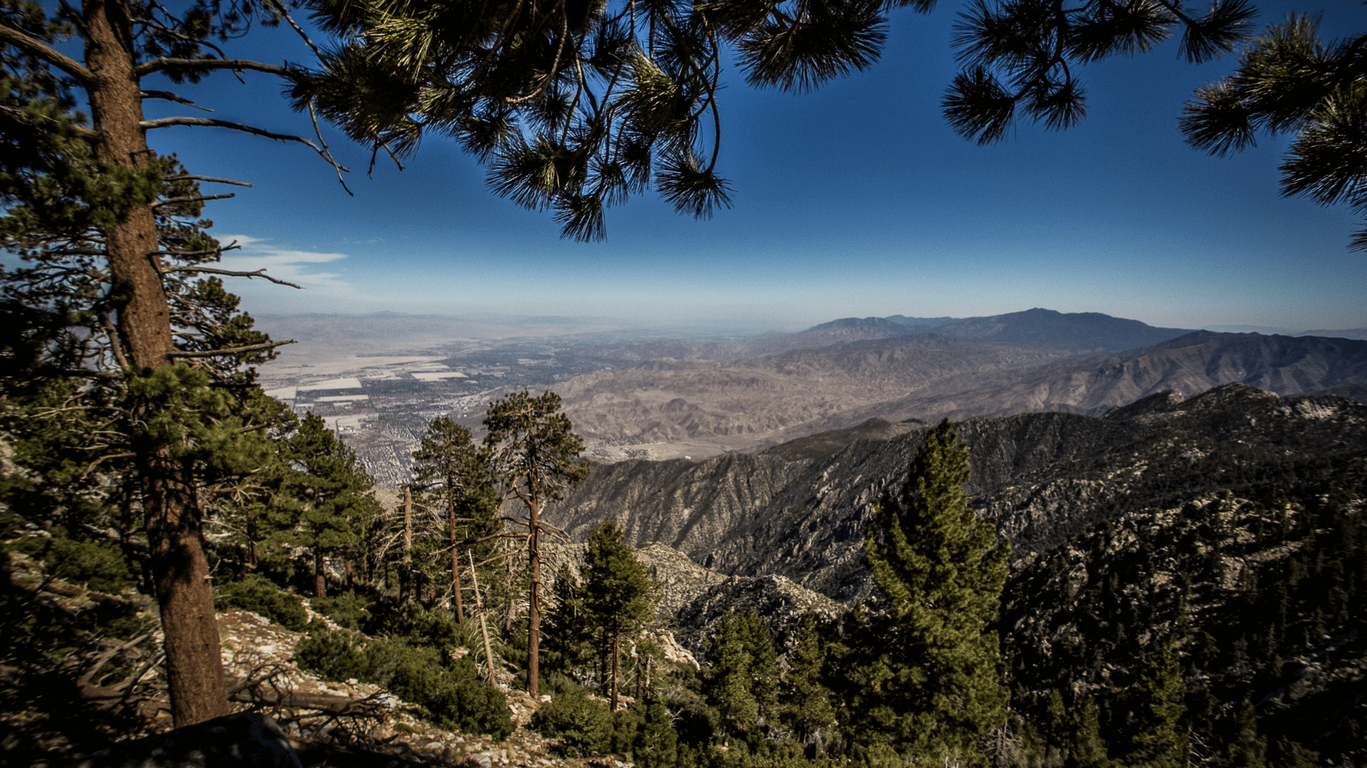 idyllwild view from mountain top