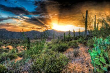 beautiful arizona sunset over a mountain range with cactus