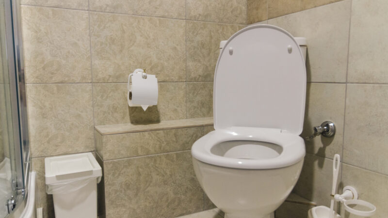 A porcelain RV toilet