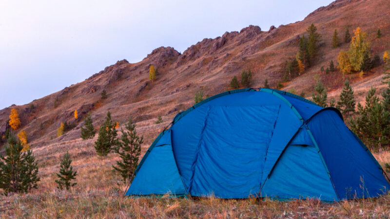 Walmart camping tents in a national park