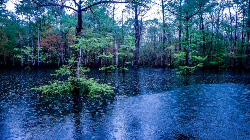 View of Morrison springs