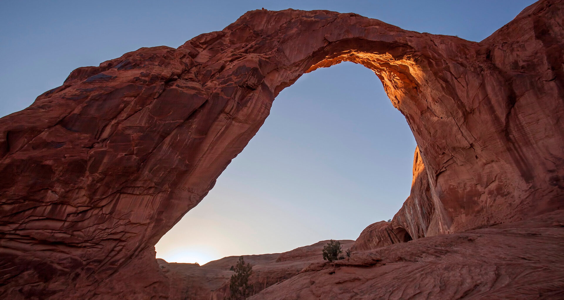 Cora Arch