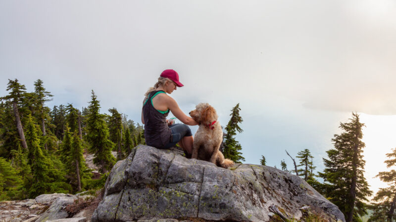 Take Your Furry Friend to These Dog-Friendly National Parks - Getaway