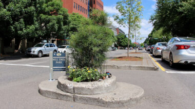 View of the world's smallest park.