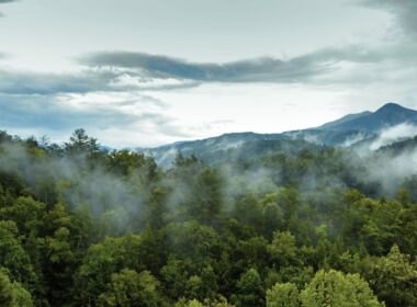 Smoky Mountain range with forest in the foreground.