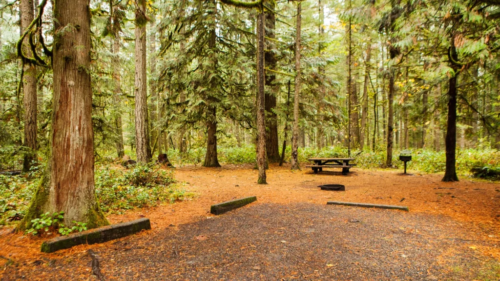 A dense forest campsite with a picnic table, grill, and parking spots near it.