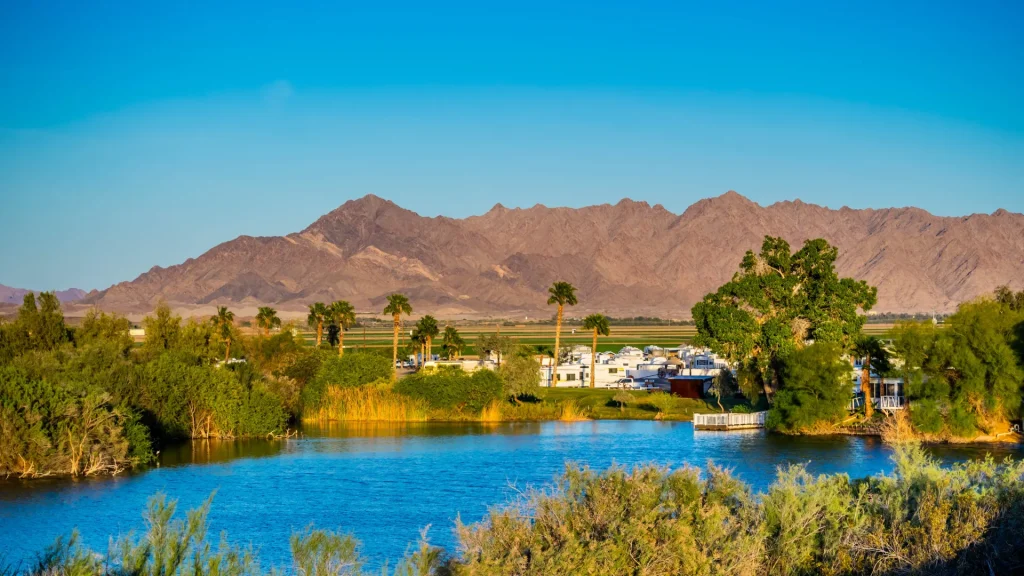 The lakes of Yuma, AZ surrounded by palms with mountains in the background against a bright blue sky.