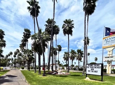 The Alamo Pines sign beside palm trees as it sits amongst a blue wispy clouded sky.