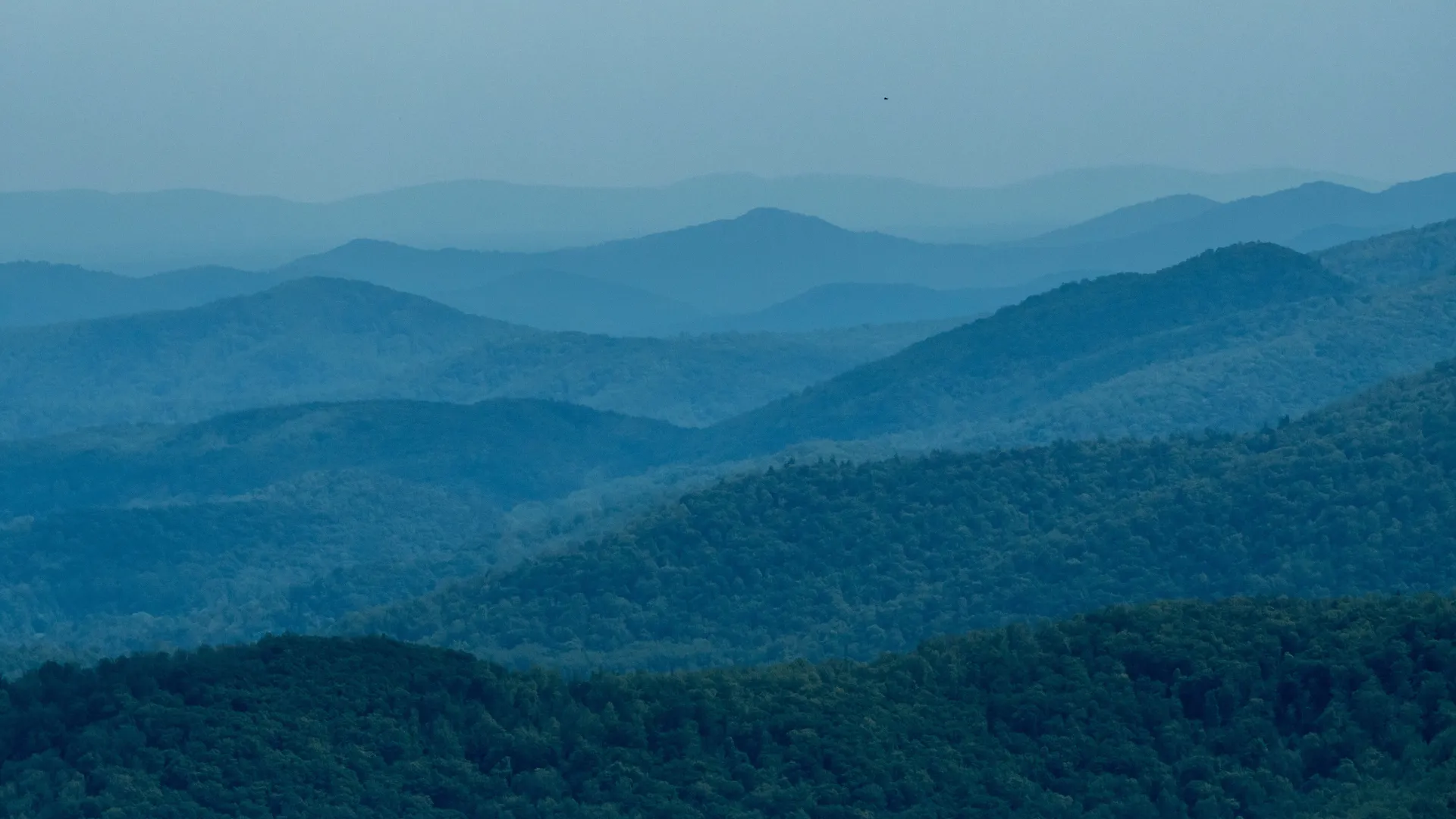 What is Fancy Gap in VA Known For?
