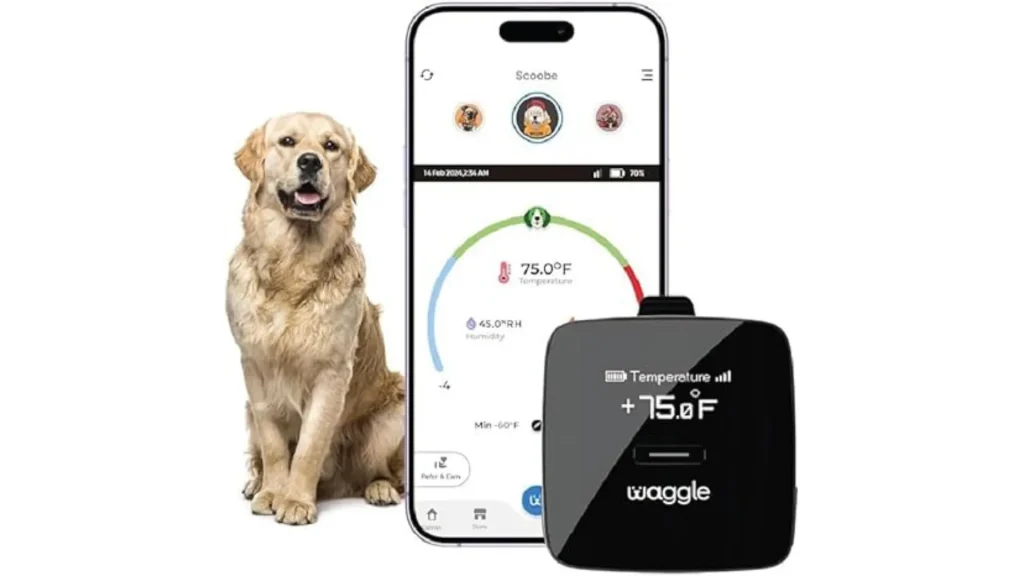 A golden retriever beside a phone with the Waggle pet monitor and its correlating phone application pulled up on the phone screen.