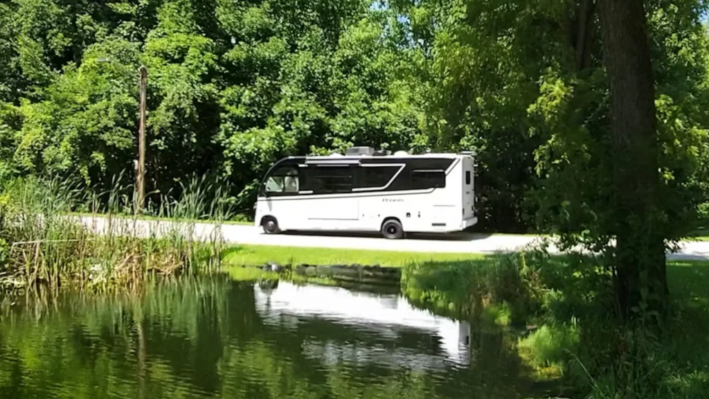 The Thor Vegas 24.1 parked on the side of a road parallel to a small body of water, framed in reeds, trees, and grass. In the background is a dense forest. 