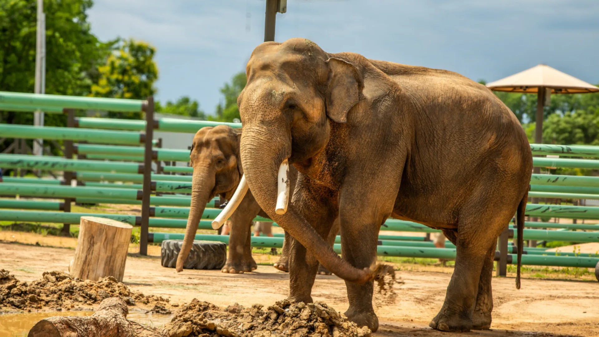 NextImg:5 Things You'll Actually Want To Do In Tulsa, OK
