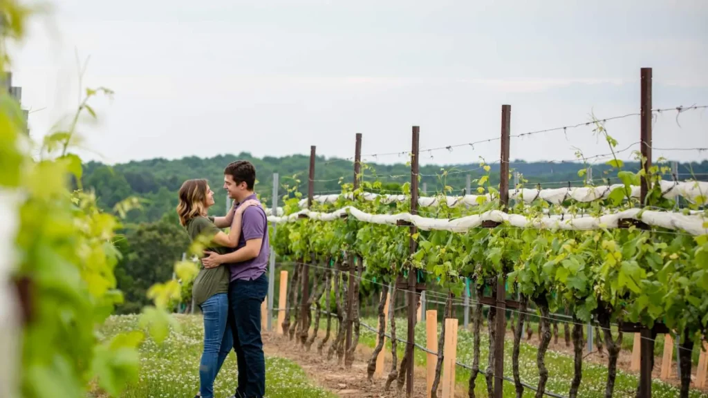 A couple stands outside beside a row of grape plants at a vineyard as they hold and look at each other.