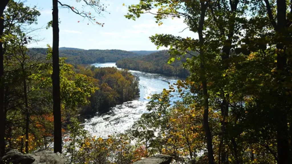 The Murphy-Chambers Farm Trail offers beautiful overlooks of the Shenandoah River.