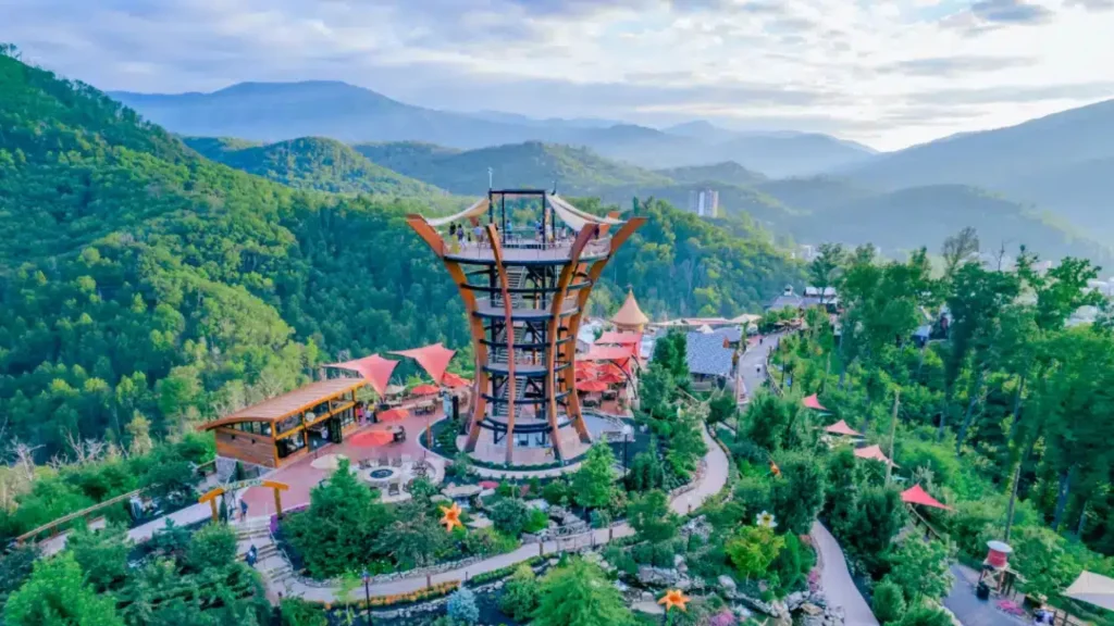 The Observation Tower at Anakeesta juts up from the ground high above the rest of the park, providing a great view of the Mountains.