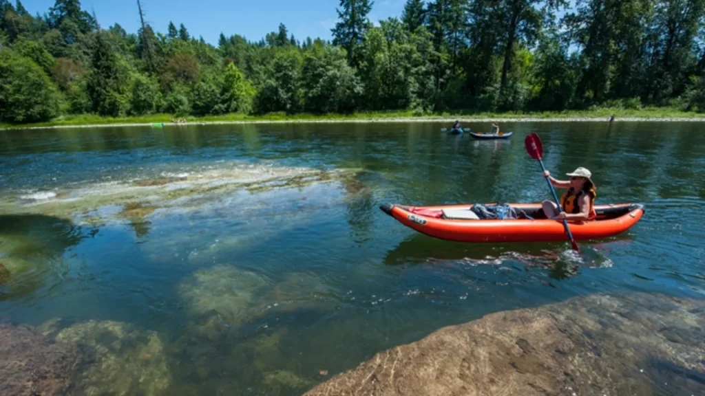 Paddlers and anglers enjoy the currents and channels of the Clackamas River. 