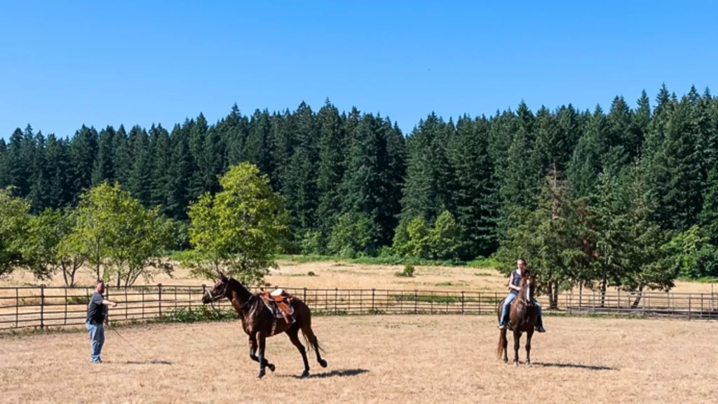 The park features a large horse arena and several training stations, plus 6 miles of riding trails