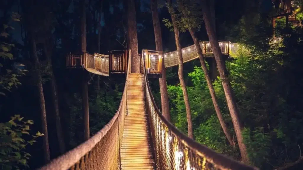 An image of the Tree Walk at Anakeesta at night, as lights strung along the sides light the way.