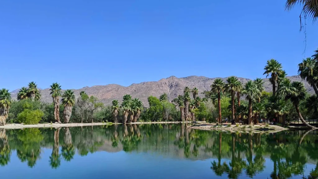 What To Know Before You Visit Agua Caliente Park