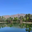 A photo of Agua Caliente an oasis in the desert AZ climate depicting blue waters surrounded by palms beneath a clear blue sky.