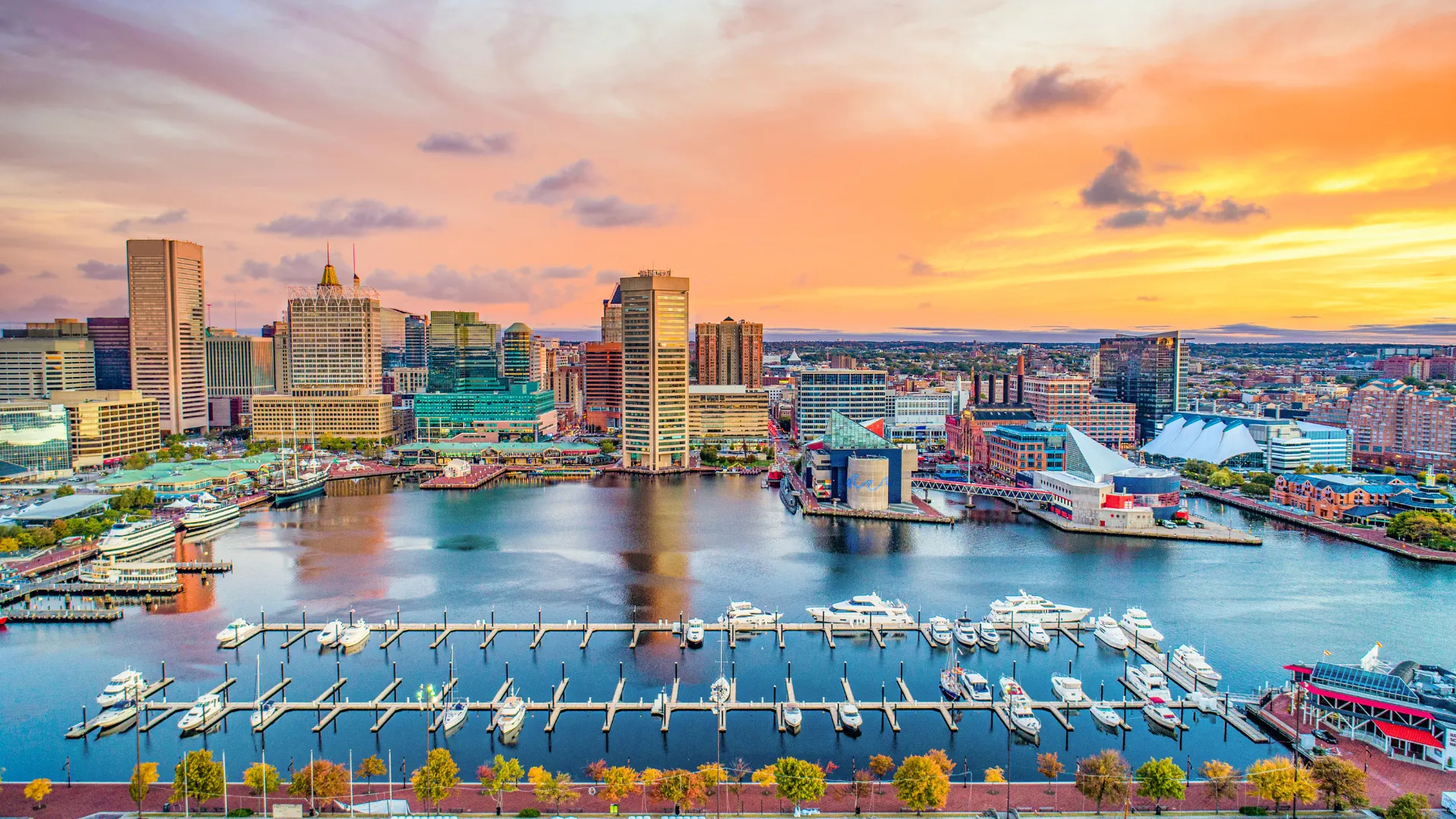 NextImg:Fun Things to Do in Maryland For Adults