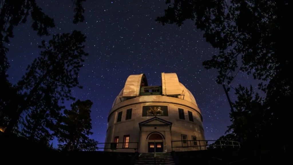 The observatory from Centre of the Universe at night, with the stars bright above it surrounded by dark foliage. 