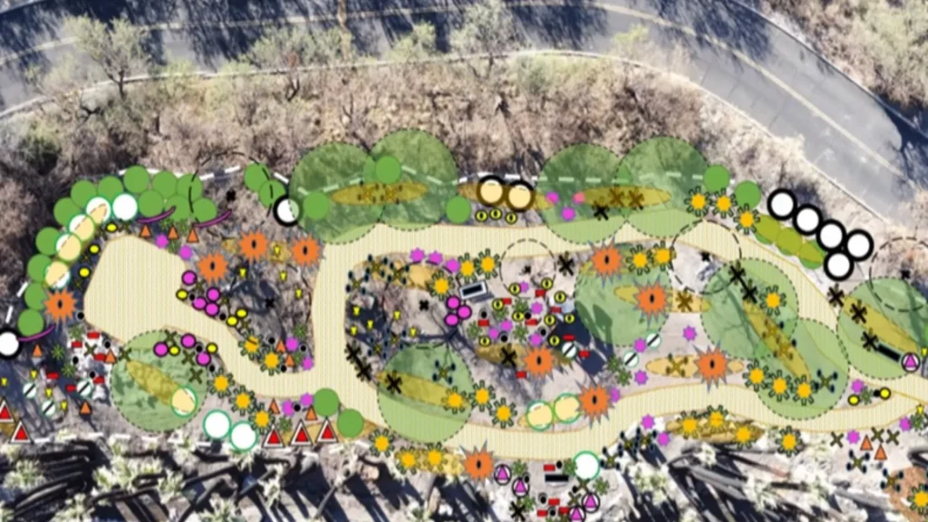 The Desert Garden Plan from Friends of Agua Caliente for the Agua Caliente Park post-lightning storm. There are green circles, yellow circles, orange stars, and more listed in the design plan. 