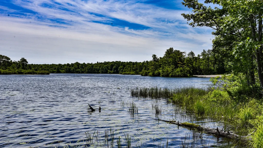 Gouldsboro State Park on a cloudy summer day. The photo depicts a lake surrounded by dense green foliage. 