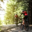 Two cyclists in red gear riding on their bikes on a trail in the forest on a sunny day.