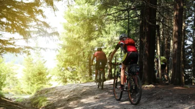 Two cyclists in red gear riding on their bikes on a trail in the forest on a sunny day.