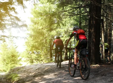 Two cyclists in red gear riding on their bikes on a trail in the forest on a sunny day.