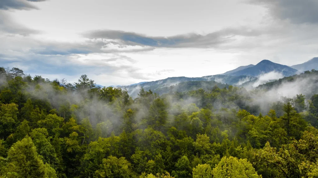 The Great Smoky Mountains during a mostly cloudy day as the fog hovers over the forest.