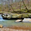 Some smaller falls in the J.C. WMA in Louisiana. The water is surrounded by dense foliage and trees.