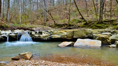Some smaller falls in the J.C. WMA in Louisiana. The water is surrounded by dense foliage and trees.