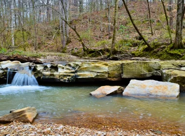 Some smaller falls in the J.C. WMA in Louisiana. The water is surrounded by dense foliage and trees.