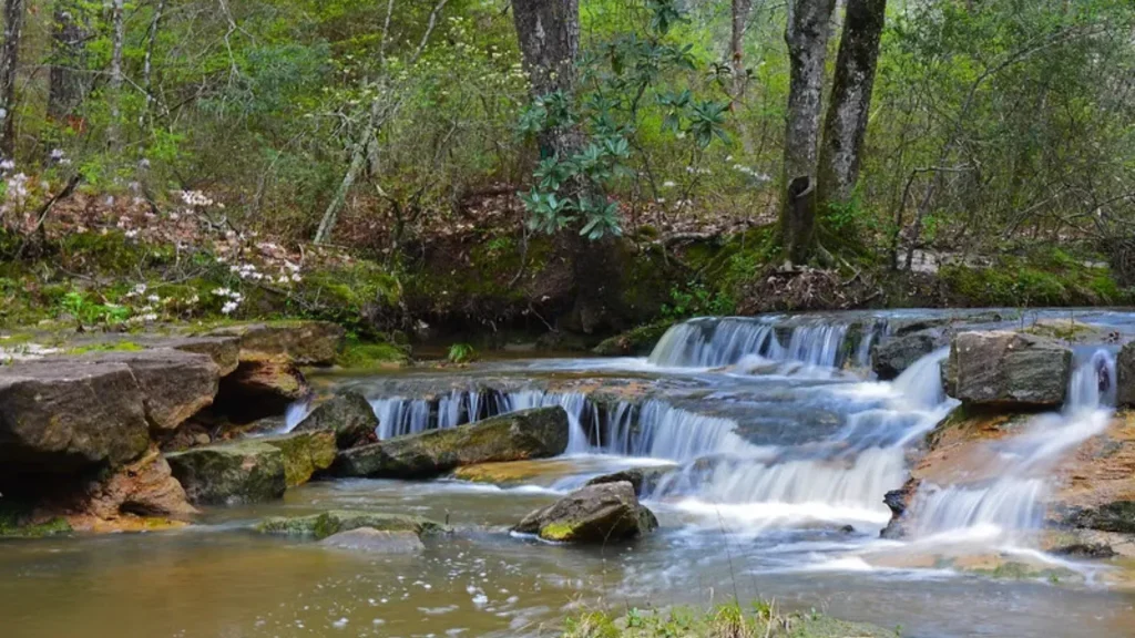 Kisatchie Falls in the Kisatchie National Forest are white as they spray water into the air while falling down rocks. 