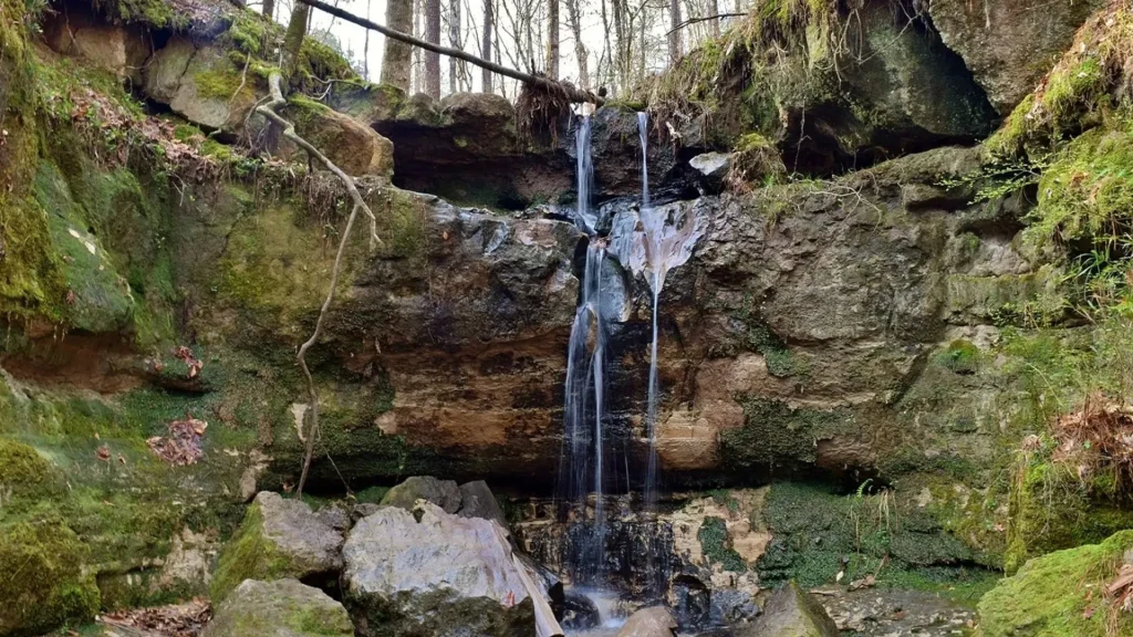 The Rock Falls, the tallest waterfall in LA, isn't majestic but is water trickling down mossy green rocks. 