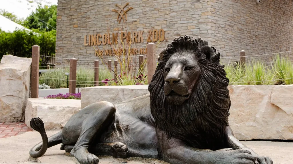 A photo of a bronzed lion statue at the Lincoln Park Zoo in front of a brick structure. 