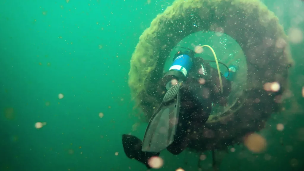 A scuba diver dives through the green water and through a ring covered with algae. 