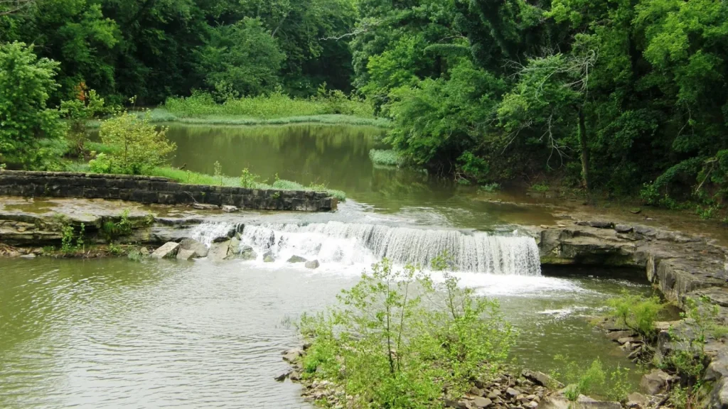 An aerial photo of Elk Falls. The water is dark in color with the dense foliage reflecting in it. The falls are short as they rush over a ledge of rocks.