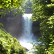 A waterfall in Minnesota. It is surrounded by dense verdant foliage, almost as if it is being kept as a secret from afar.