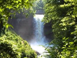 A waterfall in Minnesota. It is surrounded by dense verdant foliage, almost as if it is being kept as a secret from afar.